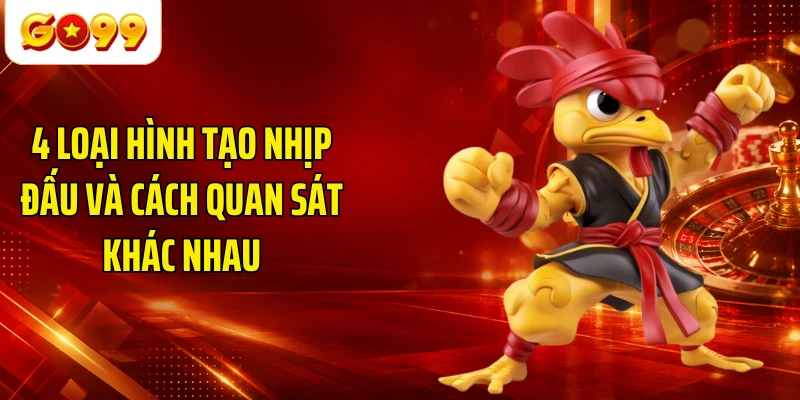 4 loại hình tạo nhịp đấu và cách quan sát khác nhau