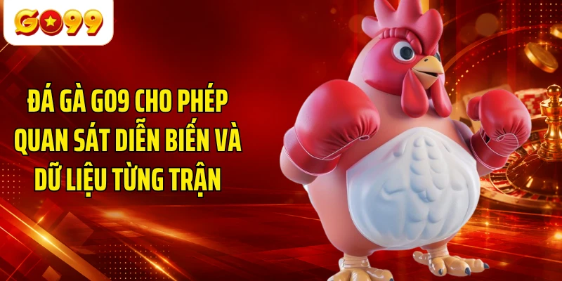 Đá gà GO9 cho phép quan sát diễn biến và dữ liệu từng trận