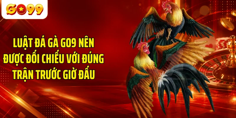 Luật đá gà GO9 nên được đối chiếu với đúng trận trước giờ đấu
